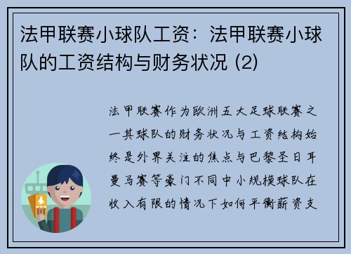 法甲联赛小球队工资:法甲联赛小球队的工资结构与财务状况 (2)
